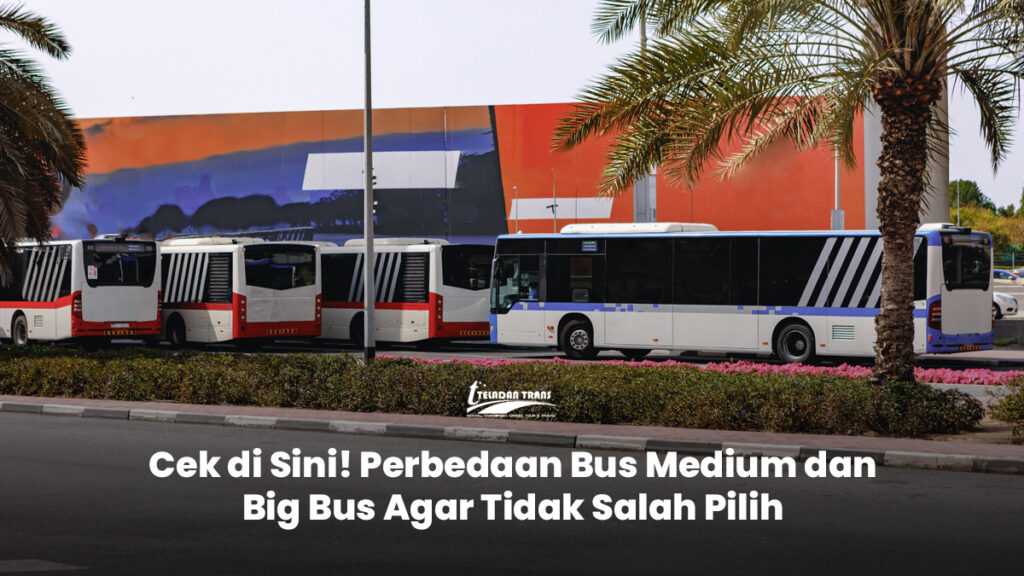 Medium Bus dan Big Bus